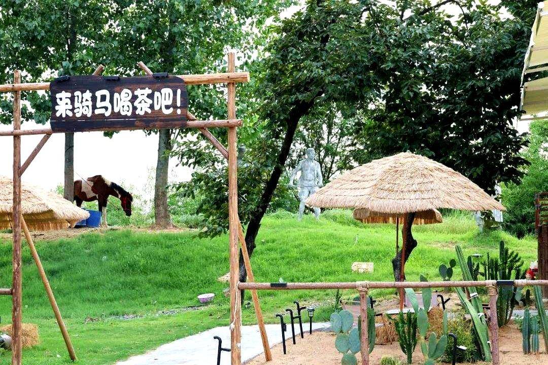 着孩子专程, 林直达淠河, 这匹身价不