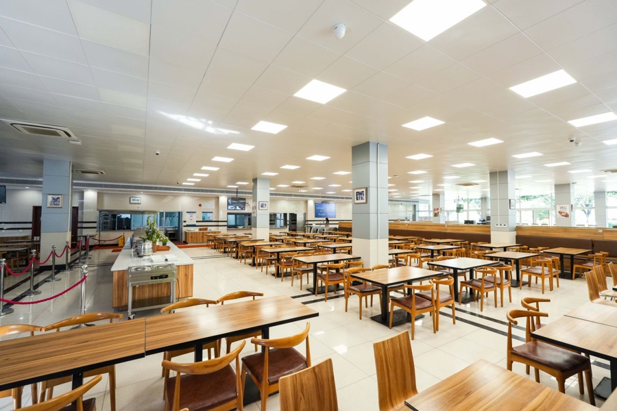 东道主中国 东道主中国